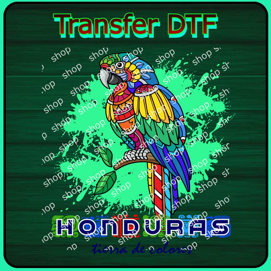 Diseños de Honduras 14