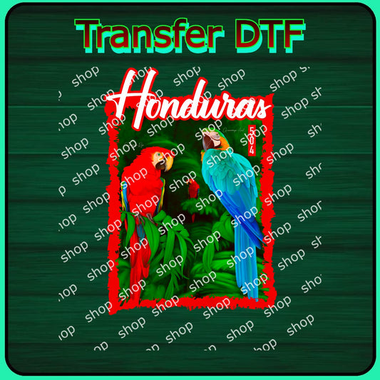 Diseños de Honduras 16