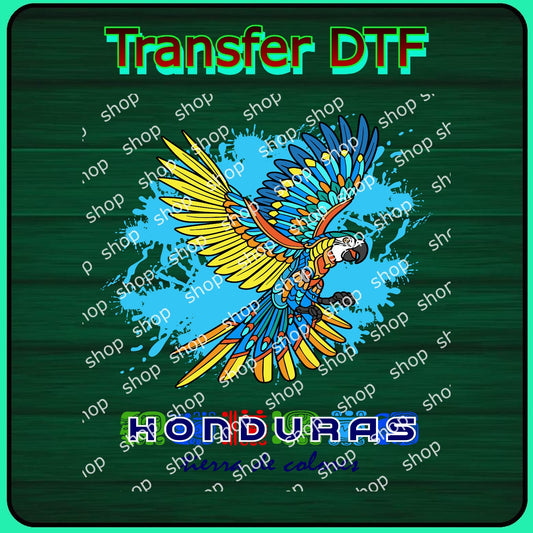 Diseños de Honduras 05